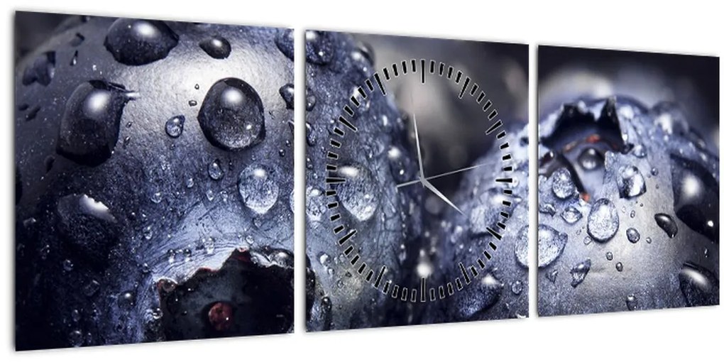 Tablou cu fructe cu picături de apă (cu ceas) (90x30 cm)