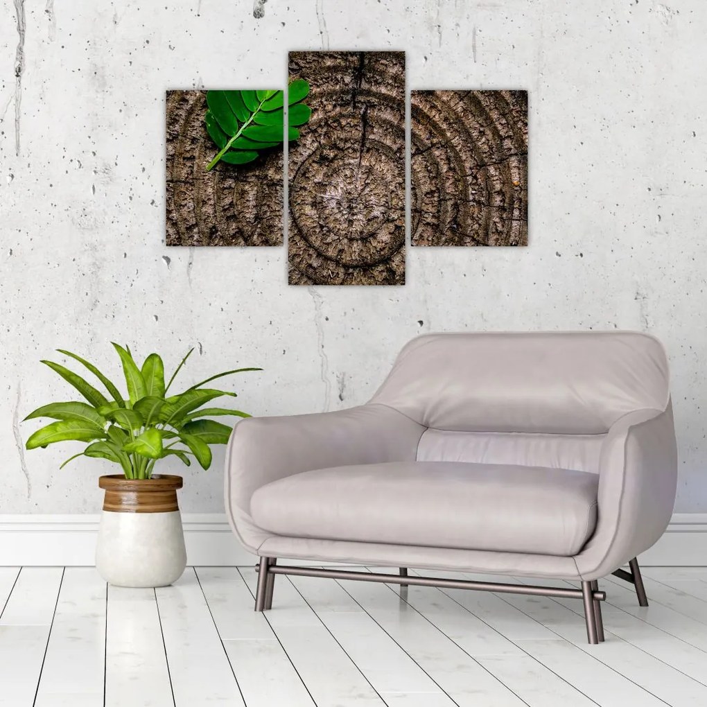 Tablou cu frunză pe trunchi de copac (90x60 cm)