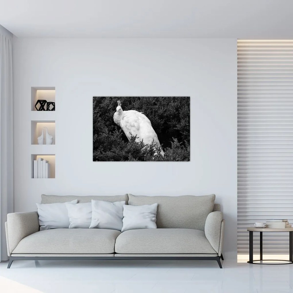 Tablou - Păun,alb-negru (90x60 cm)