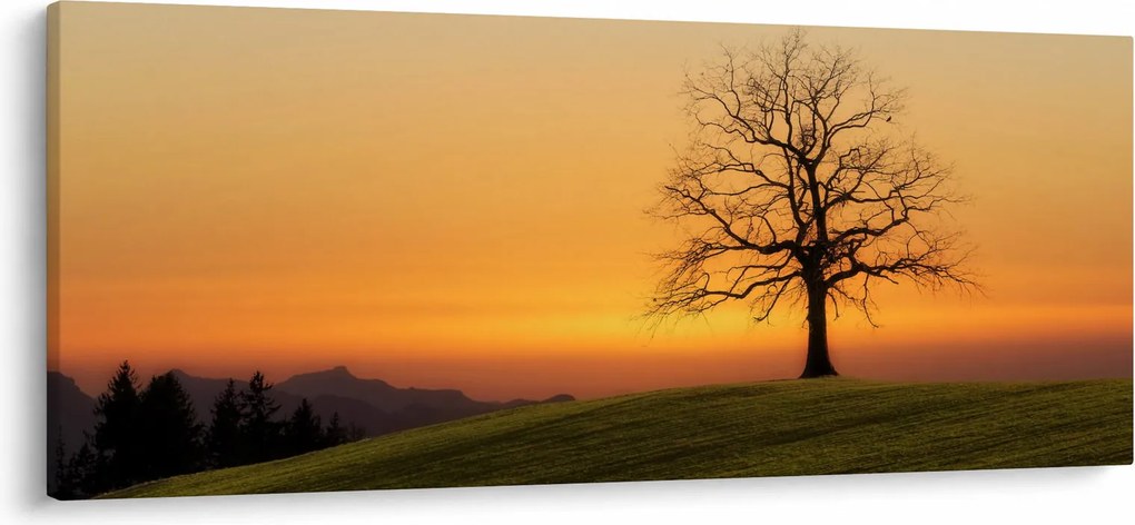 Tablou cu apus de soare pe o luncă (120x50 cm)