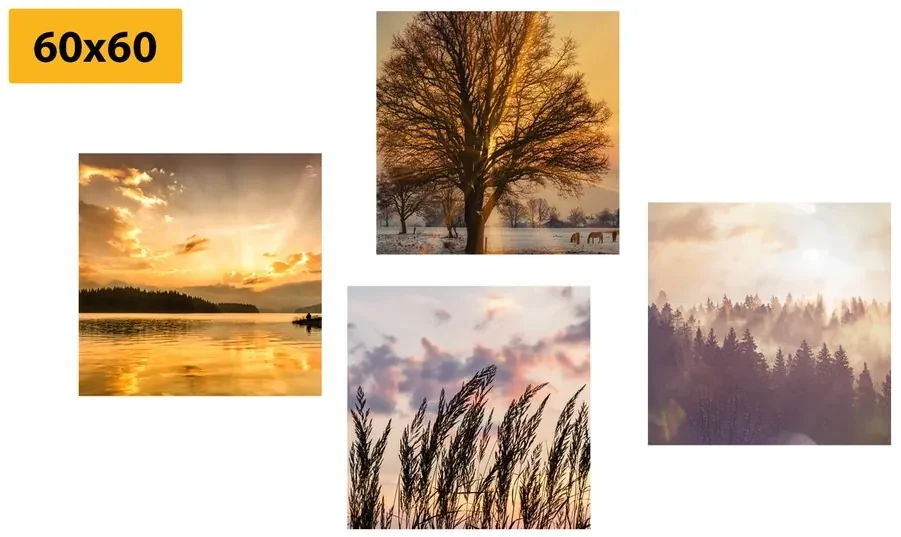 Set tablouri frumusețile naturale