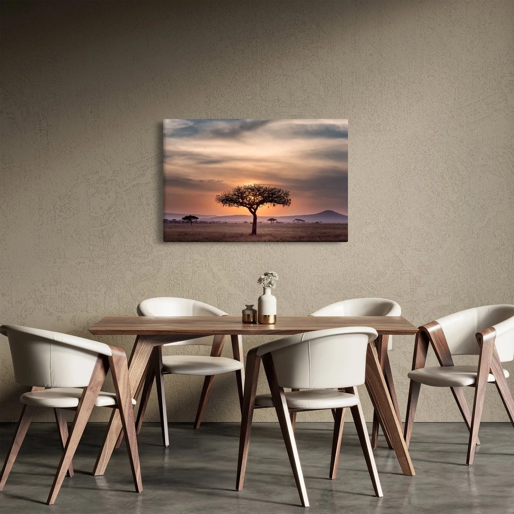 Tablou apusului de soare în Tanzania (90x60 cm)