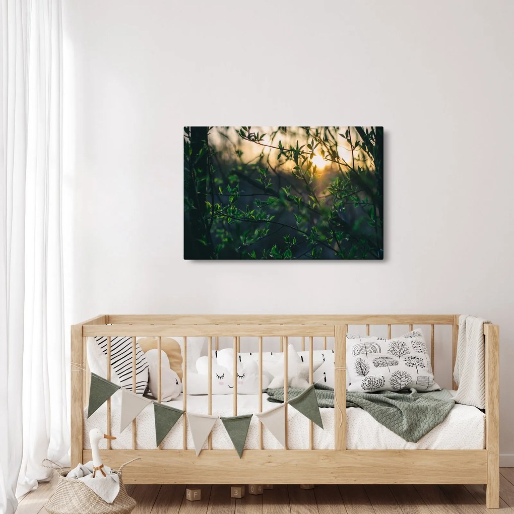Tablou - Soarele strălucind printre crengile copacilor (90x60 cm)