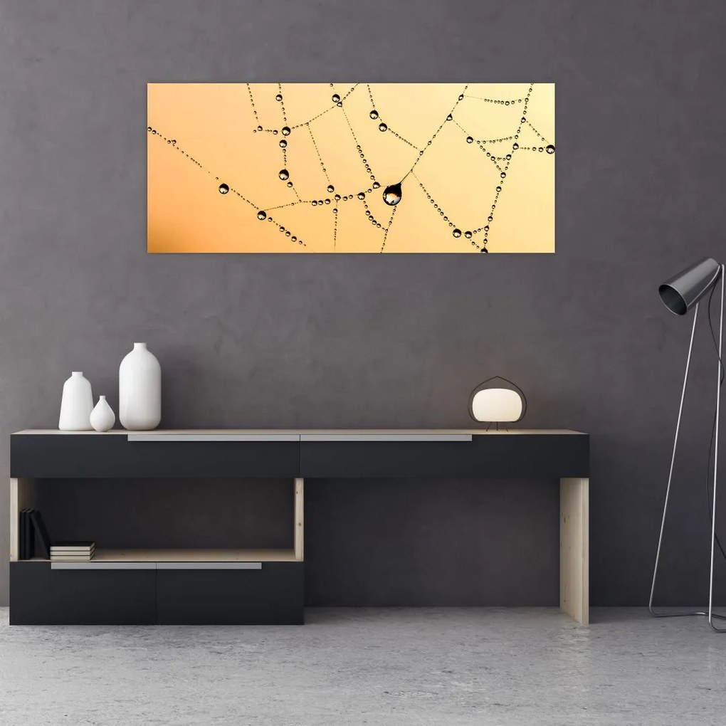 Tablou cu pânză de pâianjen cu rouă (120x50 cm)