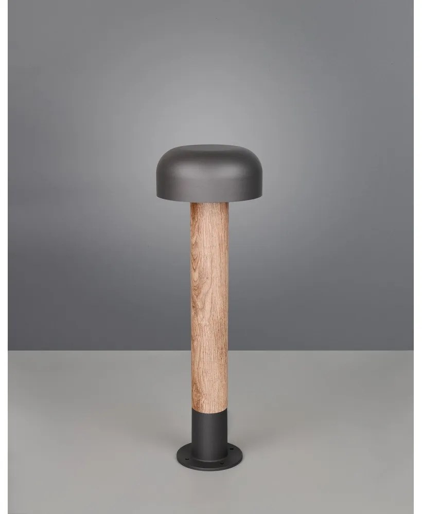 Corp de iluminat pentru exterior cu stâlp de fixare ø 19 cm Fraser – Trio