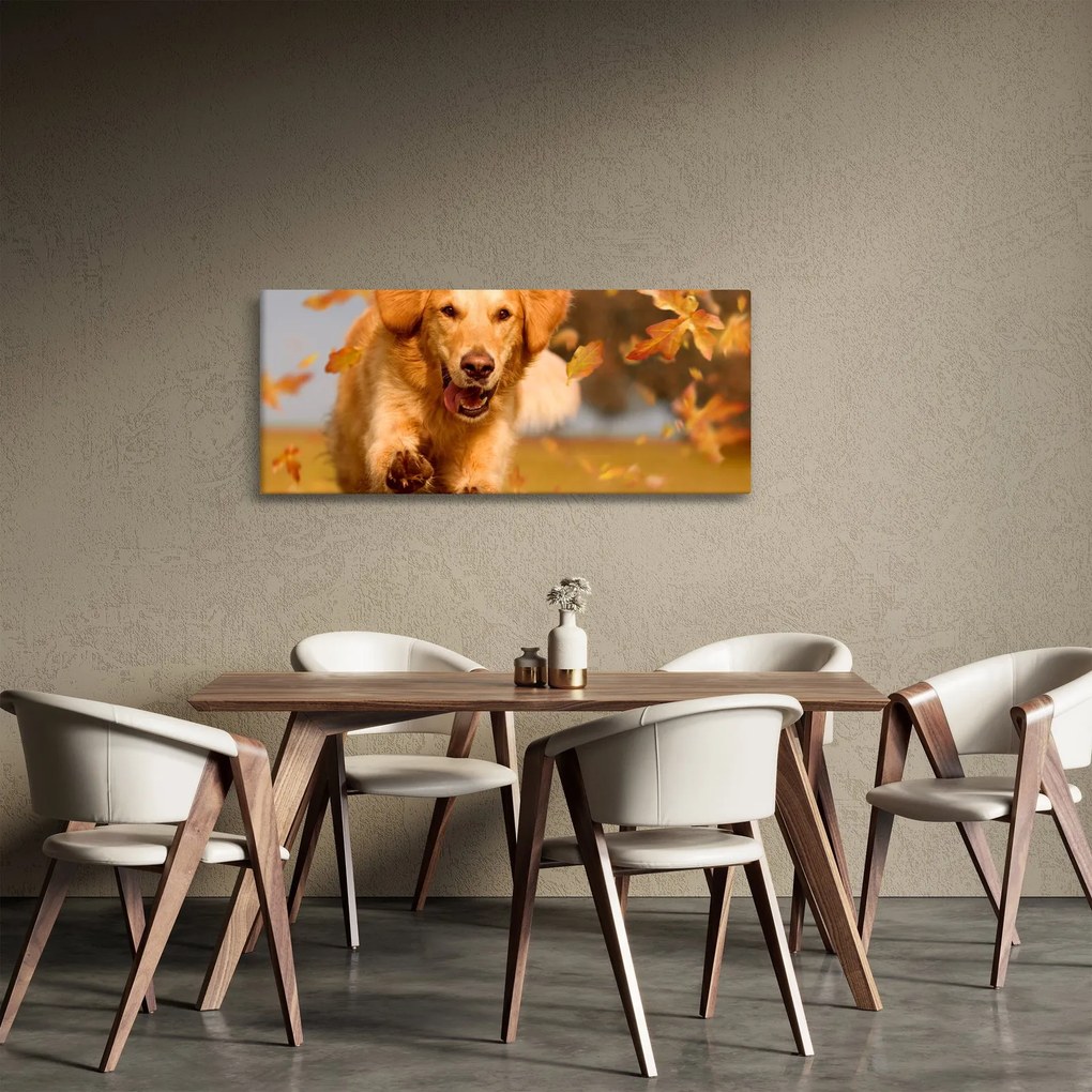 Tablou - Golden Retriever (120x50 cm)