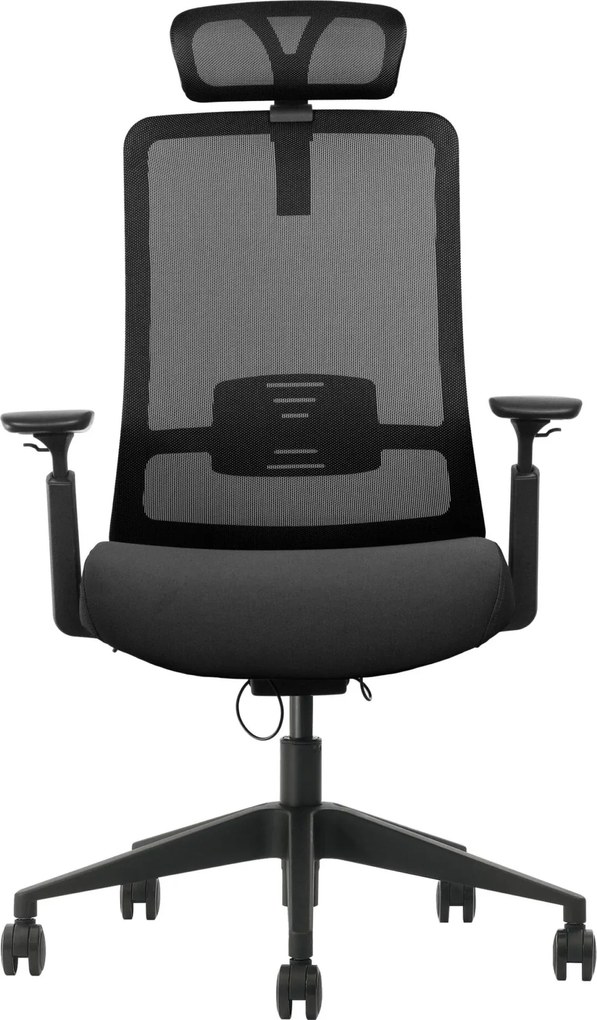 Scaun ergonomic, suport lombar integrat, brațe reglabile, tetieră opțională - Cu tetieră - Negru