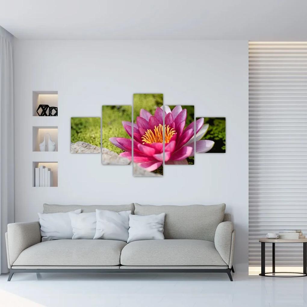 Tablou - Lotus (125x70 cm), în 40 de alte dimensiuni noi