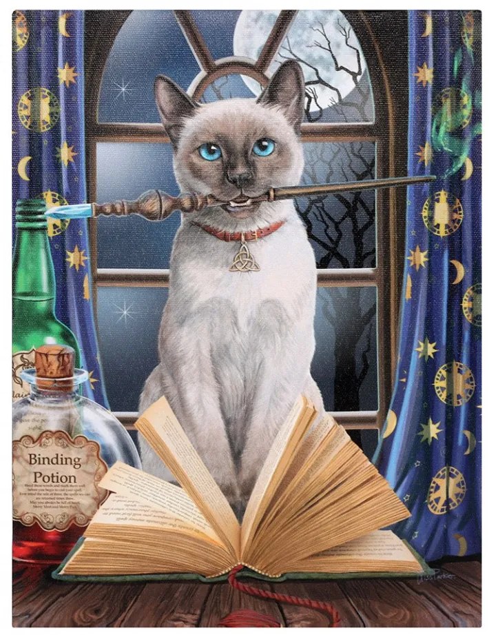 Tablou canvas Hocus Pocus, 19x25cm - Lisa Parker