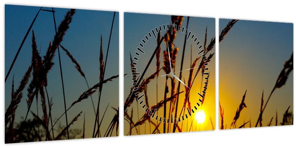 Tablou - Apus de soare pe pajiște (cu ceas) (90x30 cm)