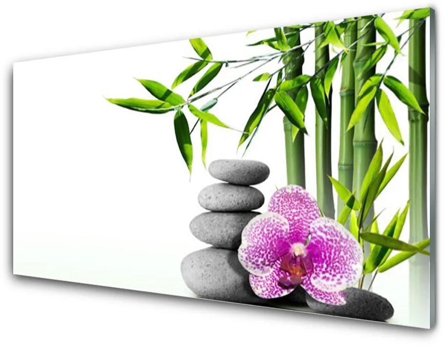 Tablou pe sticla acrilica Bambus Cane flori Stones Floral Verde Roz Gri