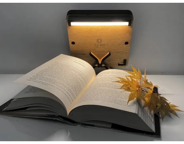 Li-Go 4070/DUB2 - Decorațiune de masă LED, 12W, 230V, 19x19 cm, stejar/cal