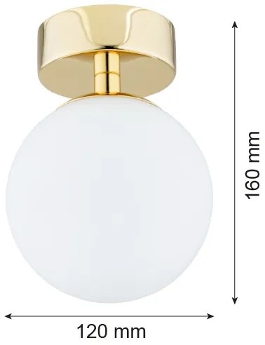 Argon 4004 - Lumină plafon baie FLAVIO 1xE14/7W/230V IP44