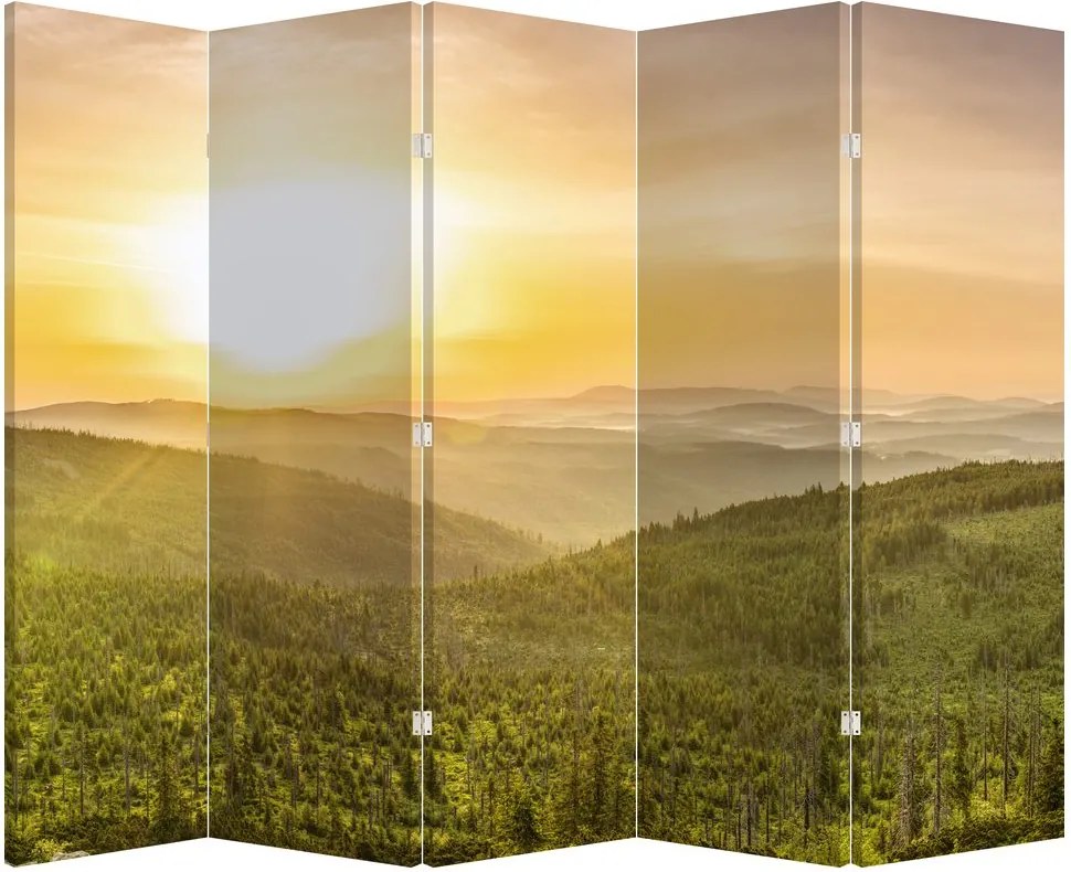 Paravan - Panorama (210x170 cm)