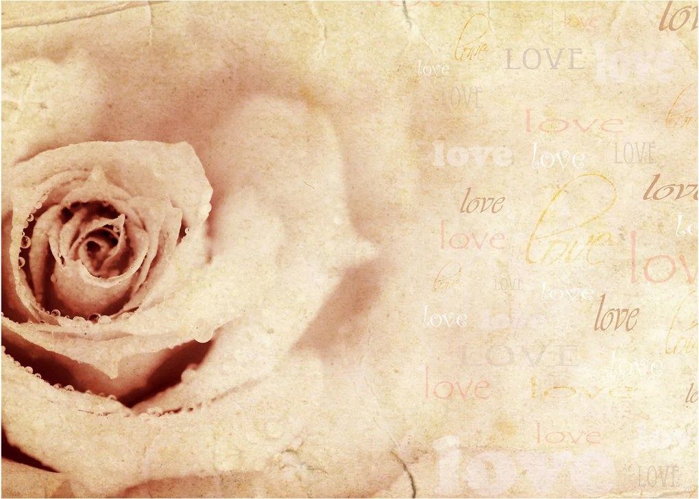 Tablou - floare de trandafir pentru îndrăgostiți (70x50 cm)