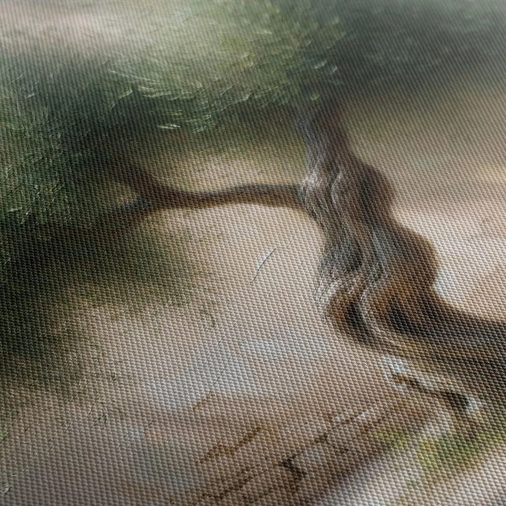 Tablou măslin bătrân în Mediterană