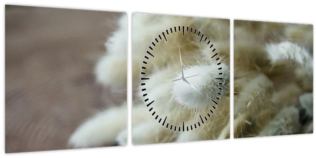 Tablou - Coadă de iepure (cu ceas) (90x30 cm)