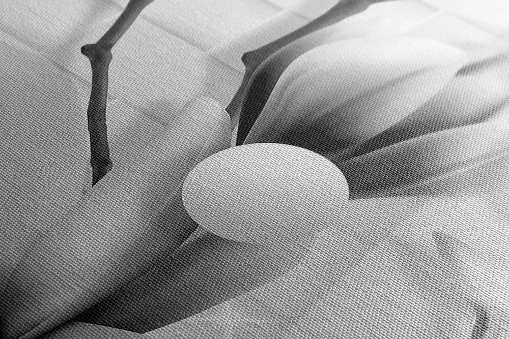Tablou magnolie cu elemente abstracte alb-negru