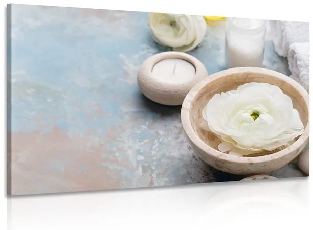 Tablou natură statică Spa