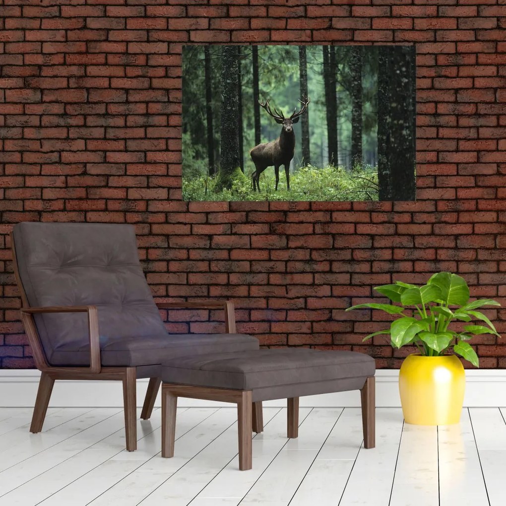 Tablou - Cerb în pădurea adâncă (90x60 cm)