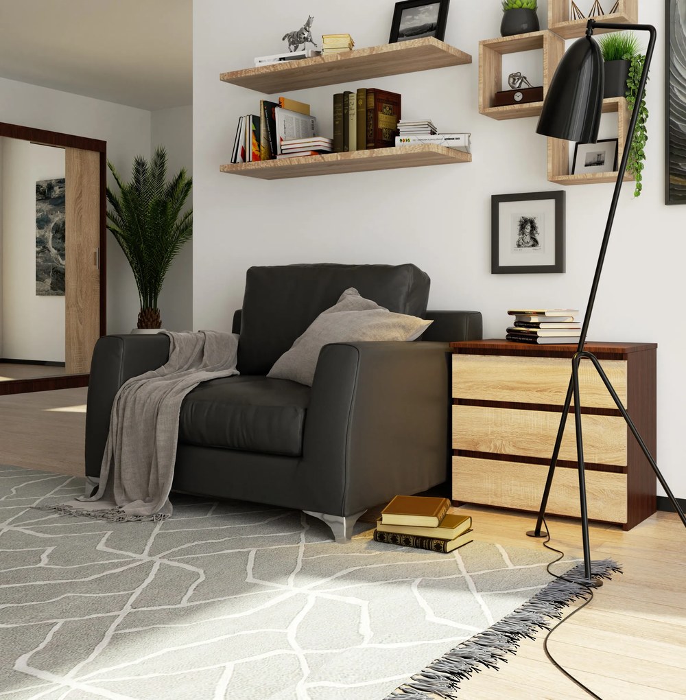 Comodă Cleania CL3 (wenge + Stejar sonoma). 1069380