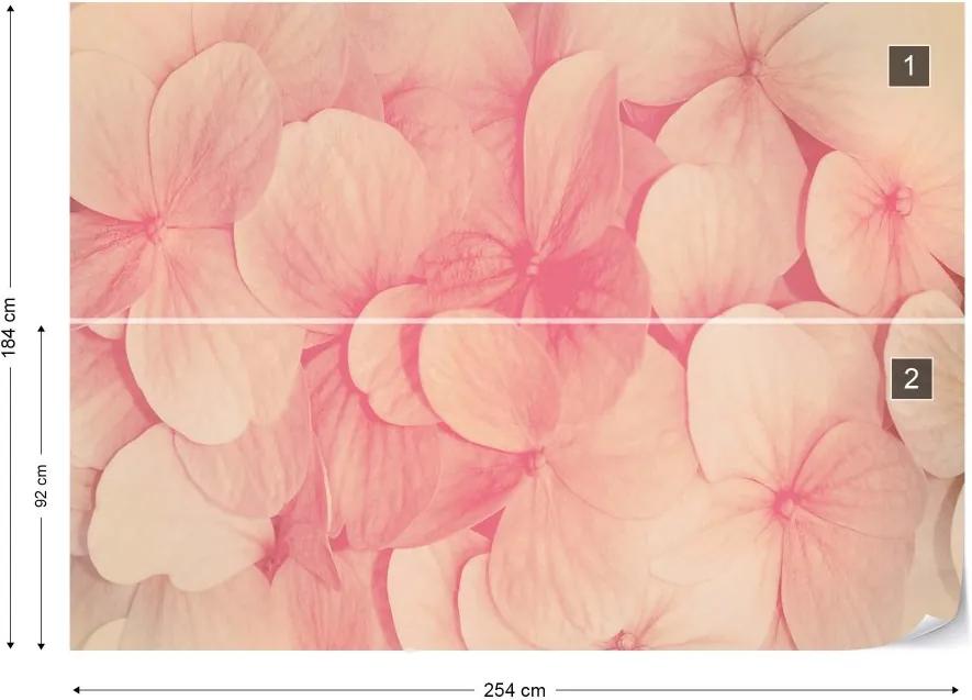 GLIX Fototapet - Pink Flowers Vliesová tapeta  - 254x184 cm