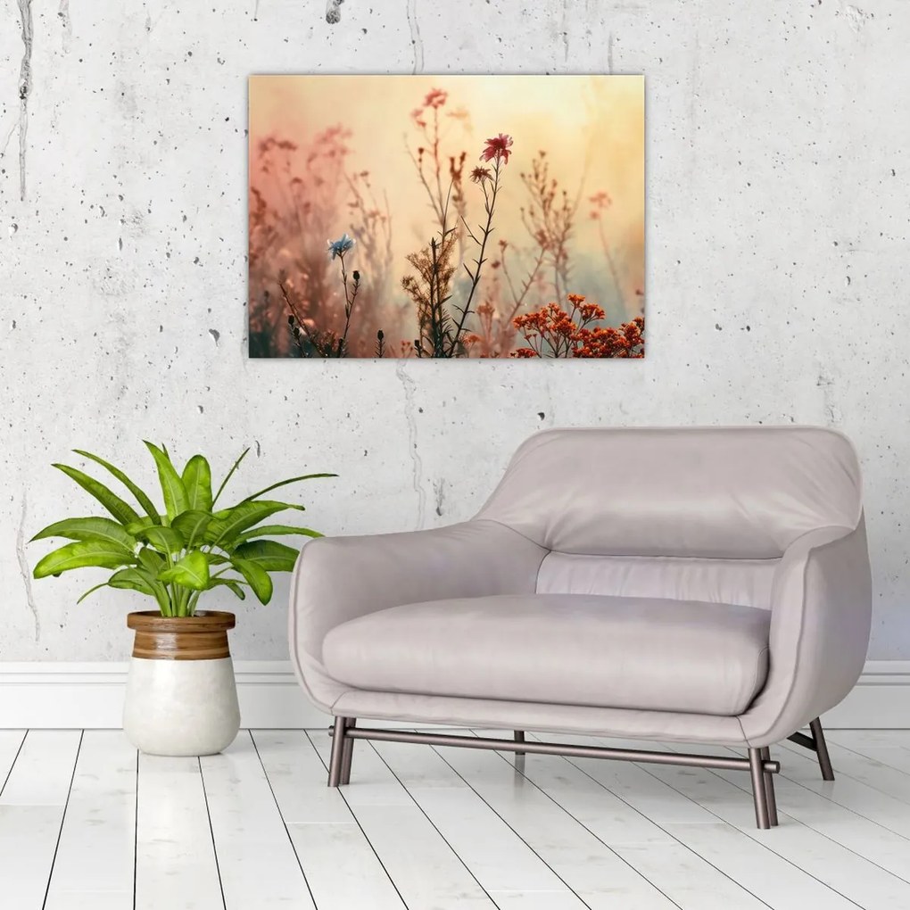 Tablou - Flori sălbatice (70x50 cm)