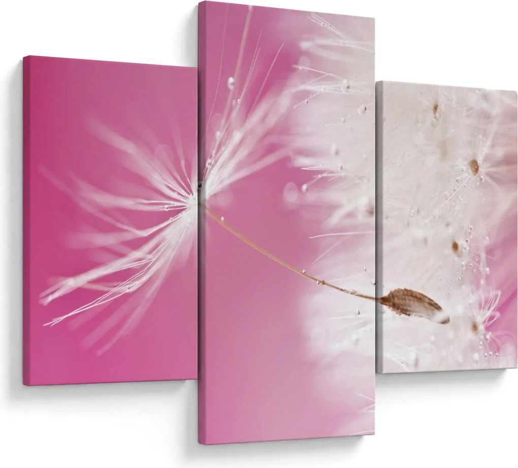 Tablou - Floare macro (90x60 cm)