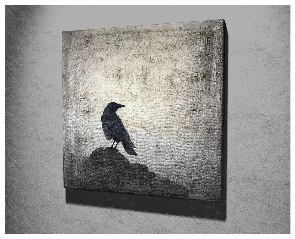 Tablou pe pânză Black Bird, 45 x 45 cm