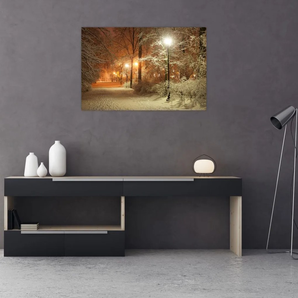 Tablou - Parcul înzăpezit (90x60 cm)