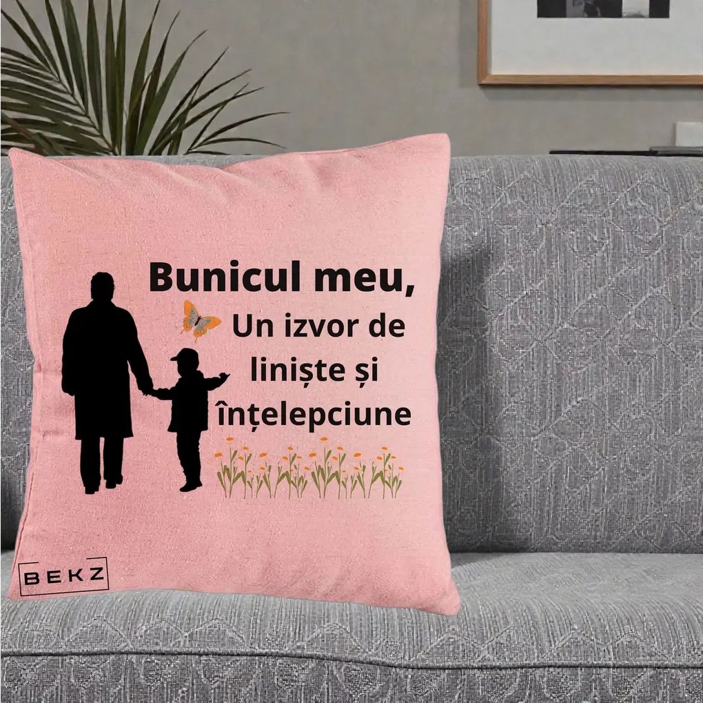 Cadou pentru Bunic - Perna Personalizata Bunicul Meu Izvor de Liniste cu Fluture si Baietel, 40x40 cm, Roz, Husa Detasabila, Perna Inclusa, BEKZ®