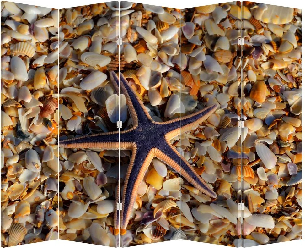 Paravan - Stea de mare (210x170 cm)