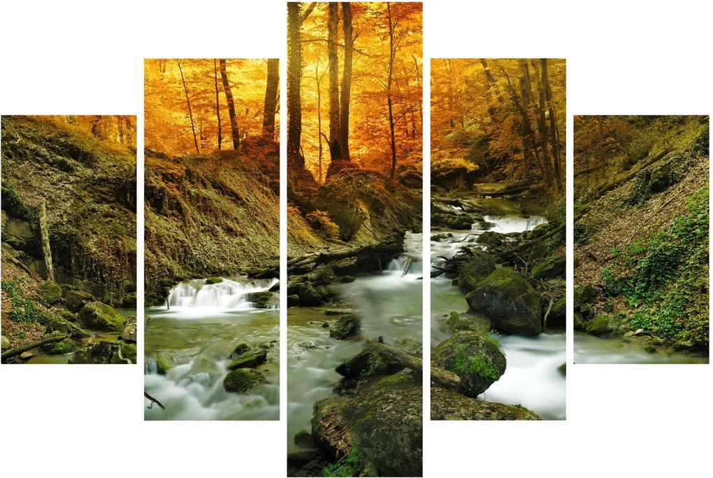 Tablou - Pădure (150x105 cm)