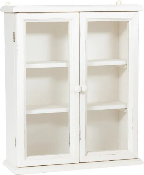 Vitrina suspendata, L48 17 H57 cm