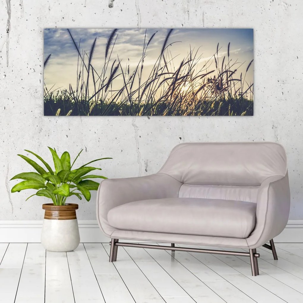 Tablou cu flori de câmp (120x50 cm)