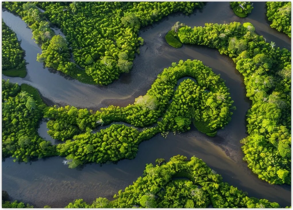 Tablou - Peisaj forestier cu râu (70x50 cm)