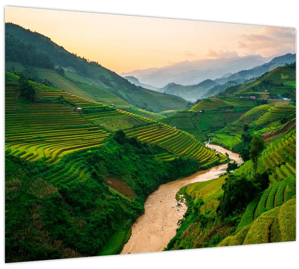 Tablou - Terase de orez II. (70x50 cm)