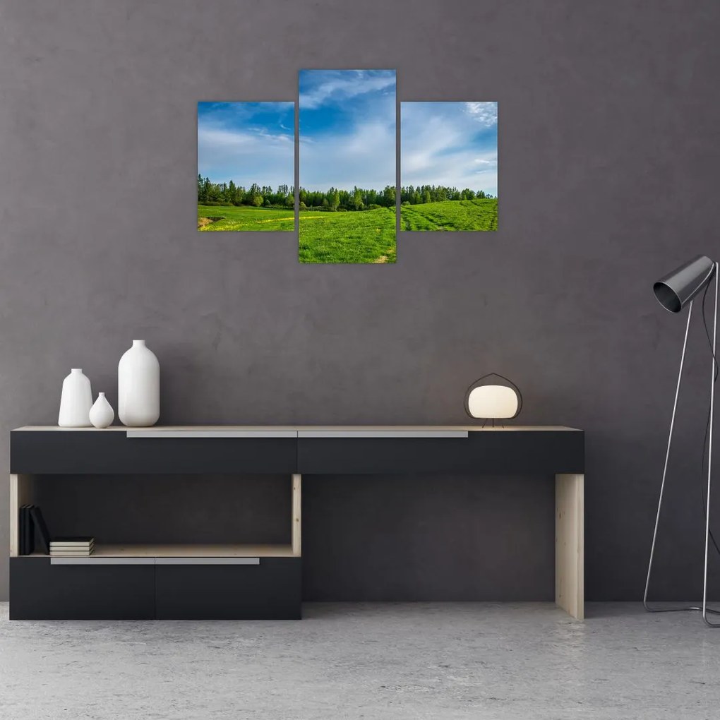 Tablou cu luncă (90x60 cm)