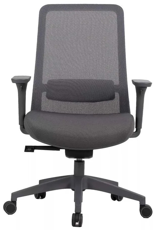 Scaun de birou Cantaron, gri