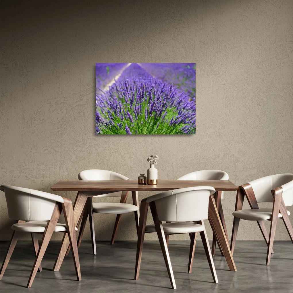 Tablou pe sticlă - lavanda (70x50 cm)