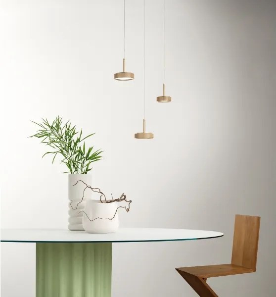 Ondaluce - Lustră LED suspendată pe cablu NINA LED/20W/230V Ø 19 cm, auriu