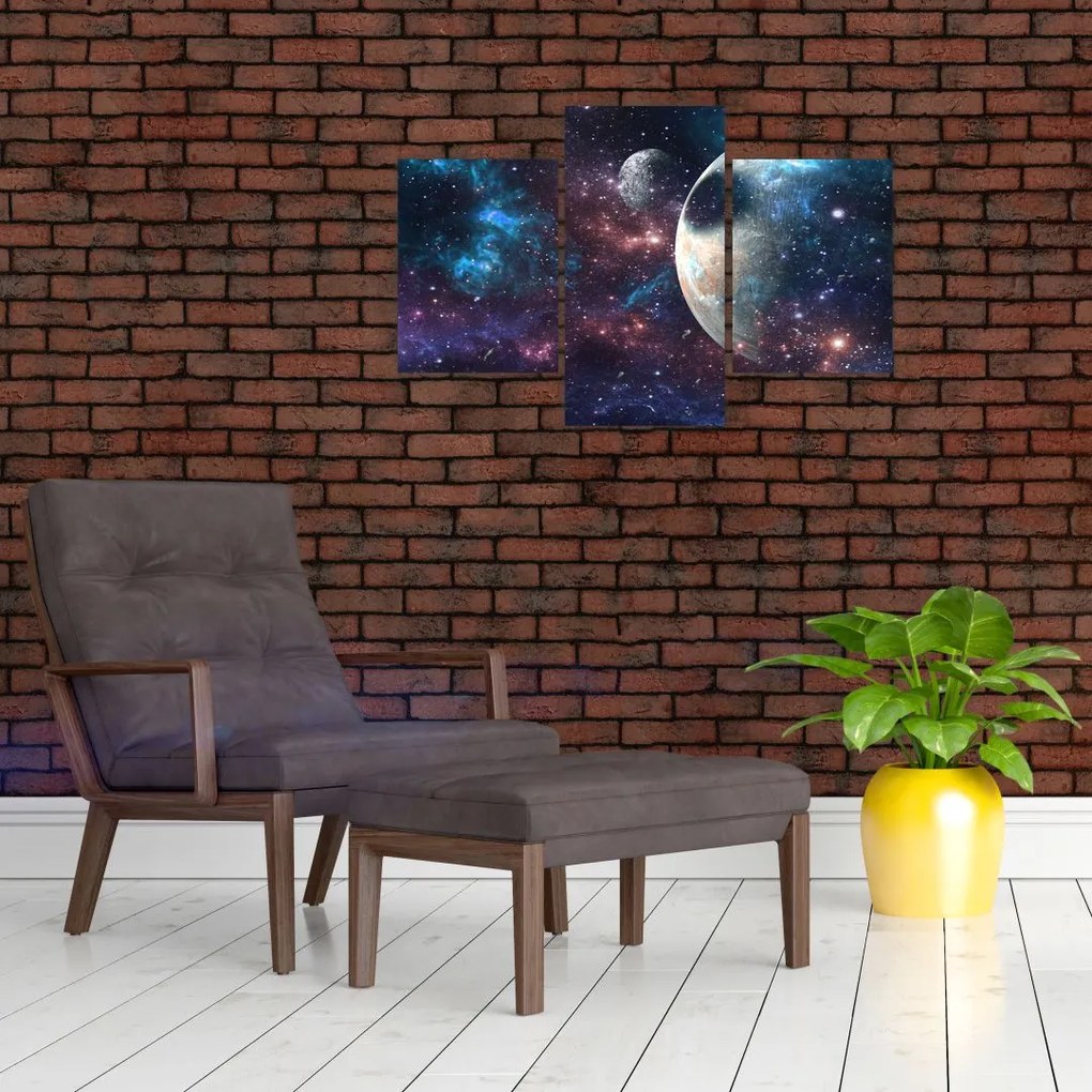 Tablou cu cosmos (90x60 cm)