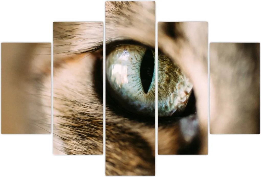 Tablou - Ochi de pisică (150x105 cm)