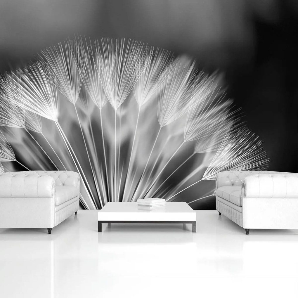 Fototapet - Păpădie (152,5x104 cm)