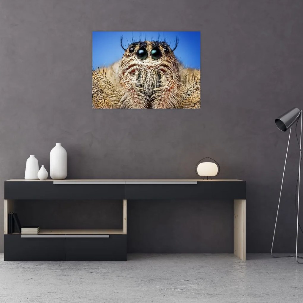 Tablou cu detalii a unui pâianjen (70x50 cm)