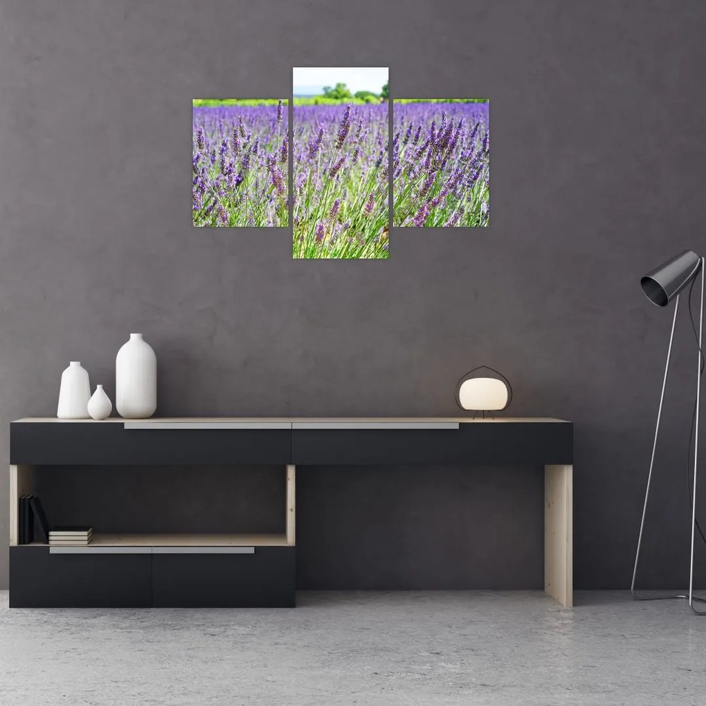 Tablou - Lavandă în câmp (90x60 cm)