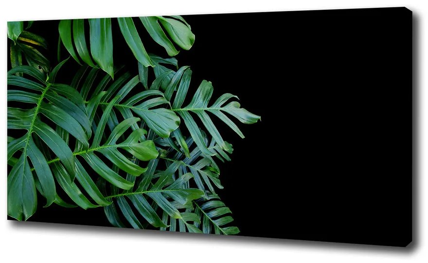 Tablou pe pânză canvas Monstera