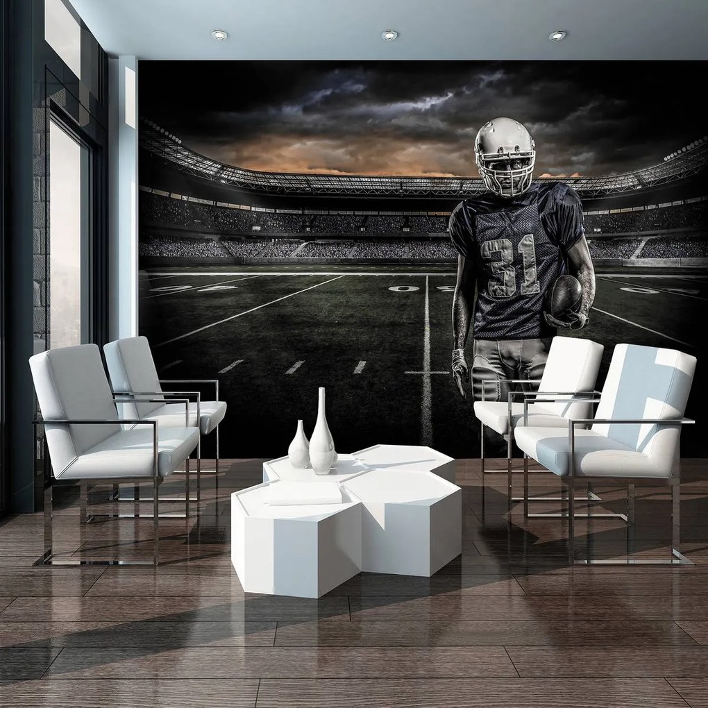 Fototapet - Stadion de Rugby (152,5x104 cm)