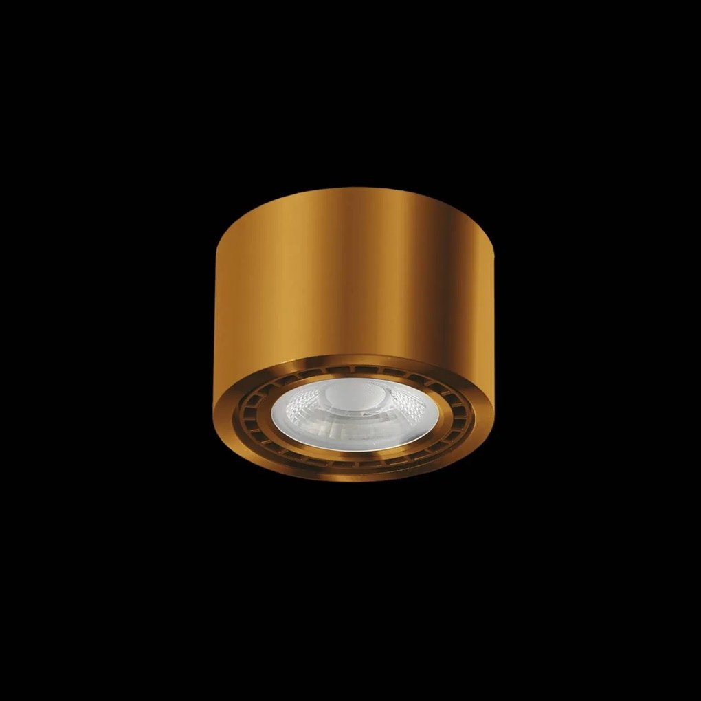 Spot aplicat de tavan/plafon ECO ALIX NEW auriu antic ZZ AZ3496