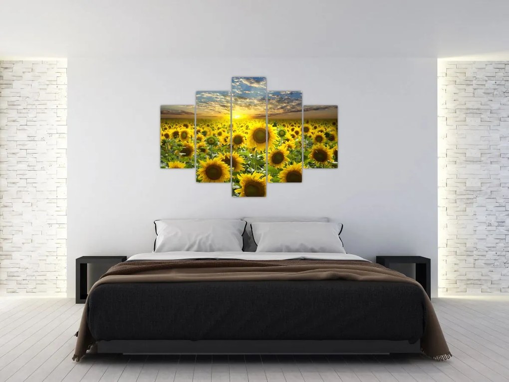 Tablou - Floarea-soarelui la apus de soare (150x105 cm)